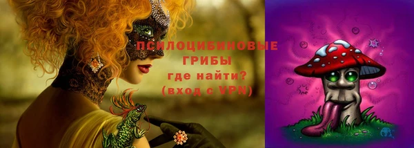 СК Алзамай