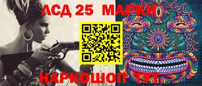 шишки Сланцы