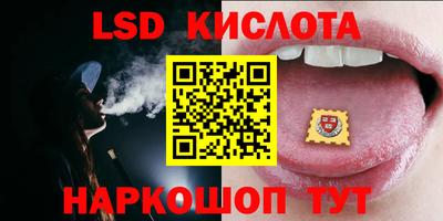 шишки Сланцы