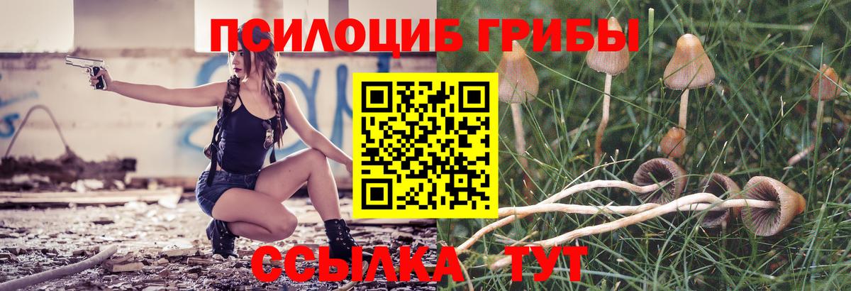 Псилоцибиновые грибы Psilocybe  Вход с VPN  Салават 